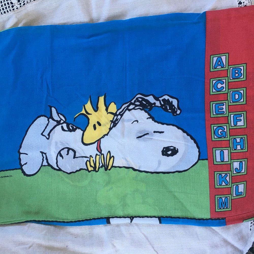 Vintage Snoopy pillow case